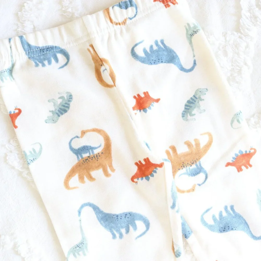 Baby Boy Dinosaur Watercolor Leggings Comfy Elastic Pull On Pants